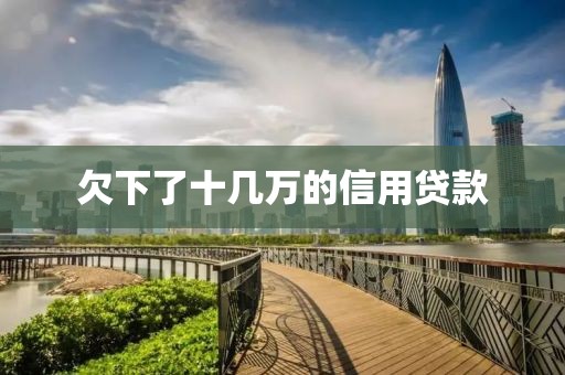 欠下了十几万的信用贷款
