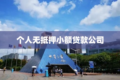 个人无抵押小额贷款公司