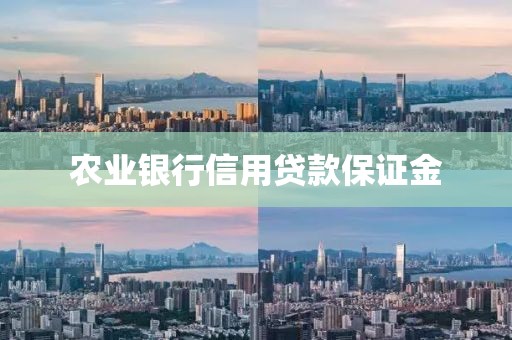 农业银行信用贷款保证金