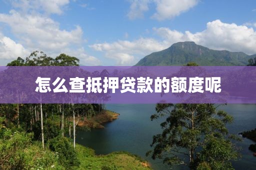 怎么查抵押贷款的额度呢