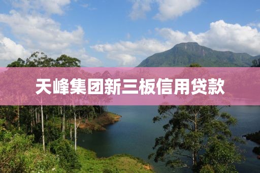天峰集团新三板信用贷款