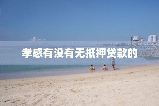 孝感有没有无抵押贷款的