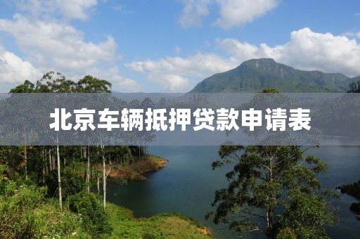 北京车辆抵押贷款申请表