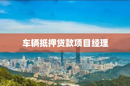 车辆抵押贷款项目经理