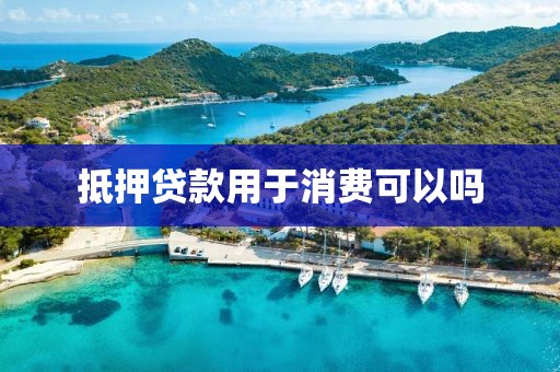 抵押贷款用于消费可以吗