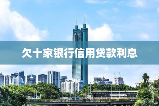 欠十家银行信用贷款利息
