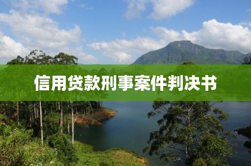 信用贷款刑事案件判决书