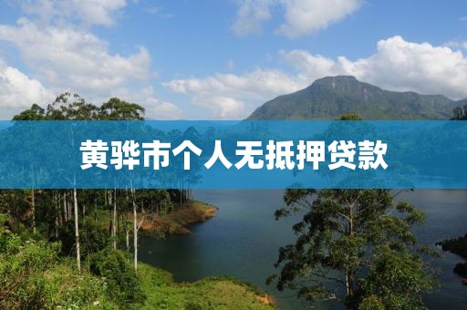 黄骅市个人无抵押贷款