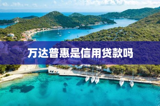 万达普惠是信用贷款吗