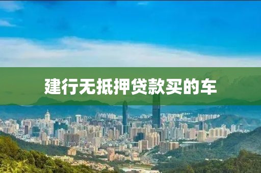 建行无抵押贷款买的车
