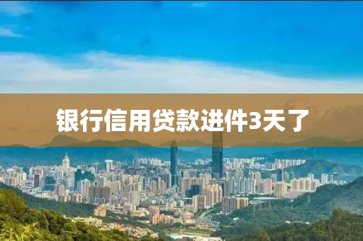 银行信用贷款进件3天了