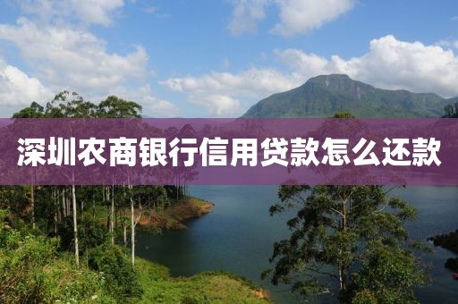 深圳农商银行信用贷款怎么还款