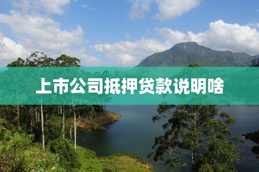 上市公司抵押贷款说明啥