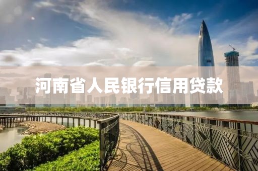 河南省人民银行信用贷款