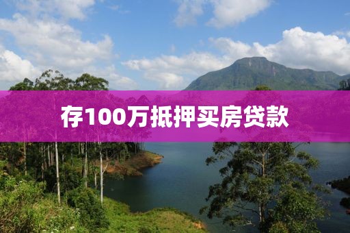 存100万抵押买房贷款