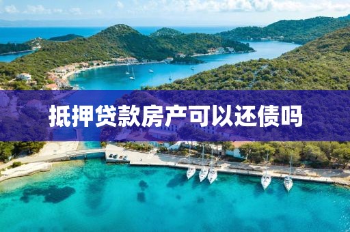 抵押贷款房产可以还债吗