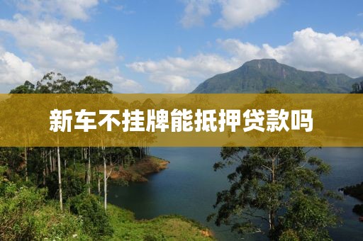 新车不挂牌能抵押贷款吗