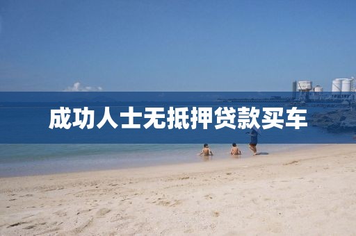 成功人士无抵押贷款买车