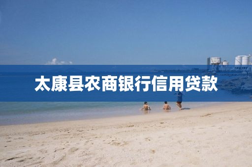 太康县农商银行信用贷款