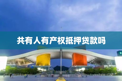 共有人有产权抵押贷款吗