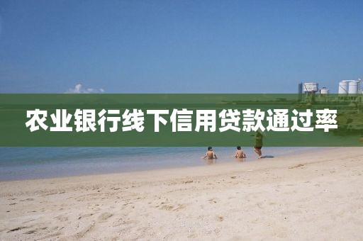 农业银行线下信用贷款通过率