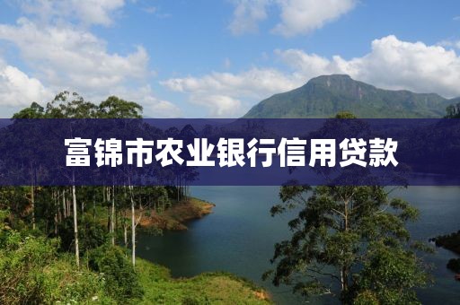 富锦市农业银行信用贷款