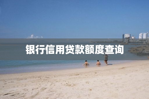 银行信用贷款额度查询