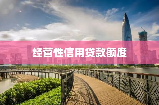 经营性信用贷款额度