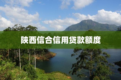 陕西信合信用贷款额度