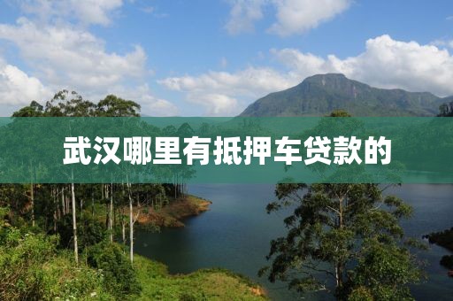 武汉哪里有抵押车贷款的