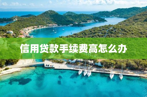信用贷款手续费高怎么办