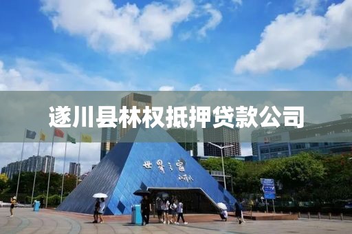 遂川县林权抵押贷款公司
