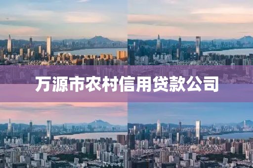 万源市农村信用贷款公司