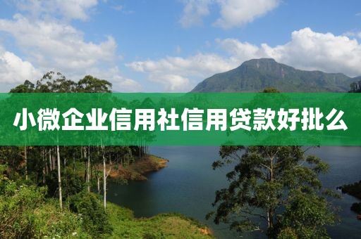 小微企业信用社信用贷款好批么