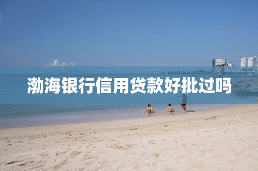 渤海银行信用贷款好批过吗