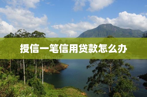 授信一笔信用贷款怎么办