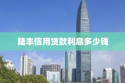 陆丰信用贷款利息多少钱