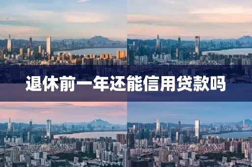 退休前一年还能信用贷款吗