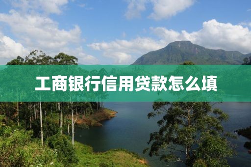 工商银行信用贷款怎么填
