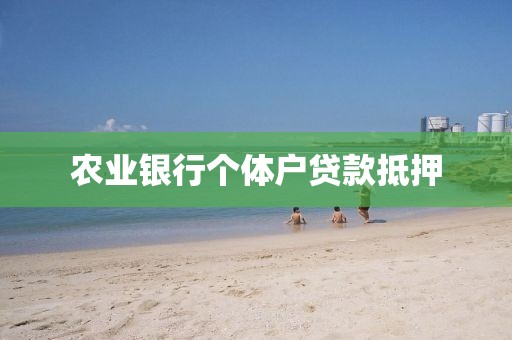 农业银行个体户贷款抵押