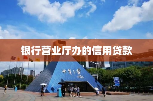 银行营业厅办的信用贷款