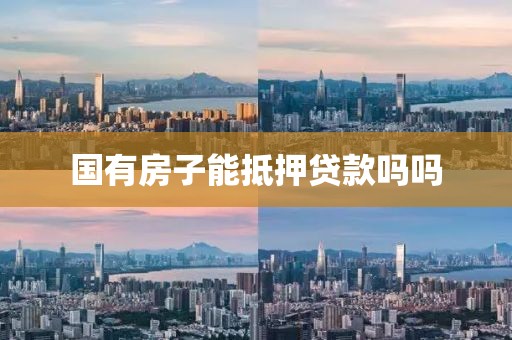 国有房子能抵押贷款吗吗