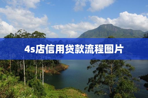 4s店信用贷款流程图片
