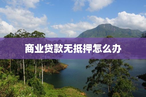 商业贷款无抵押怎么办