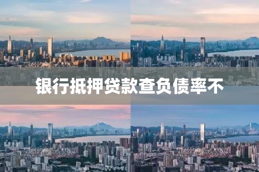 银行抵押贷款查负债率不