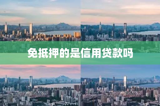 免抵押的是信用贷款吗