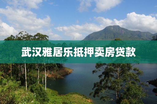 武汉雅居乐抵押卖房贷款