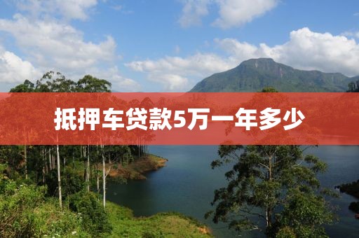 抵押车贷款5万一年多少