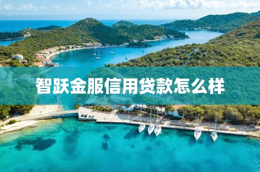 智跃金服信用贷款怎么样