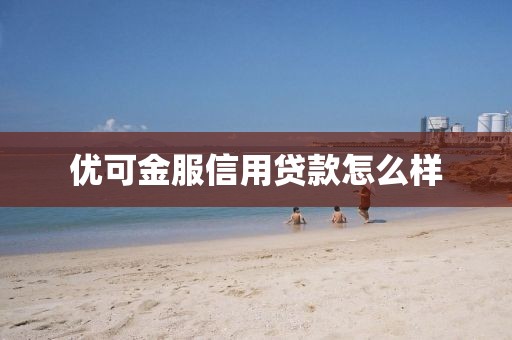 优可金服信用贷款怎么样